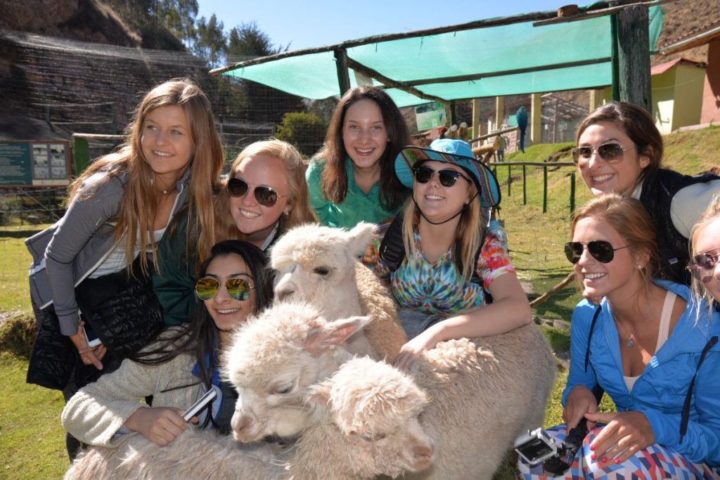 Students on the Peru Service Trip with a llama