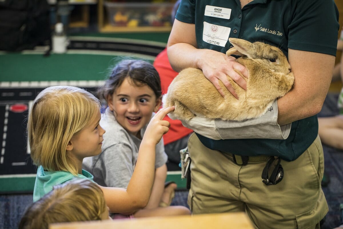 A representative from the zoo lets the JK students pet a rabbit
