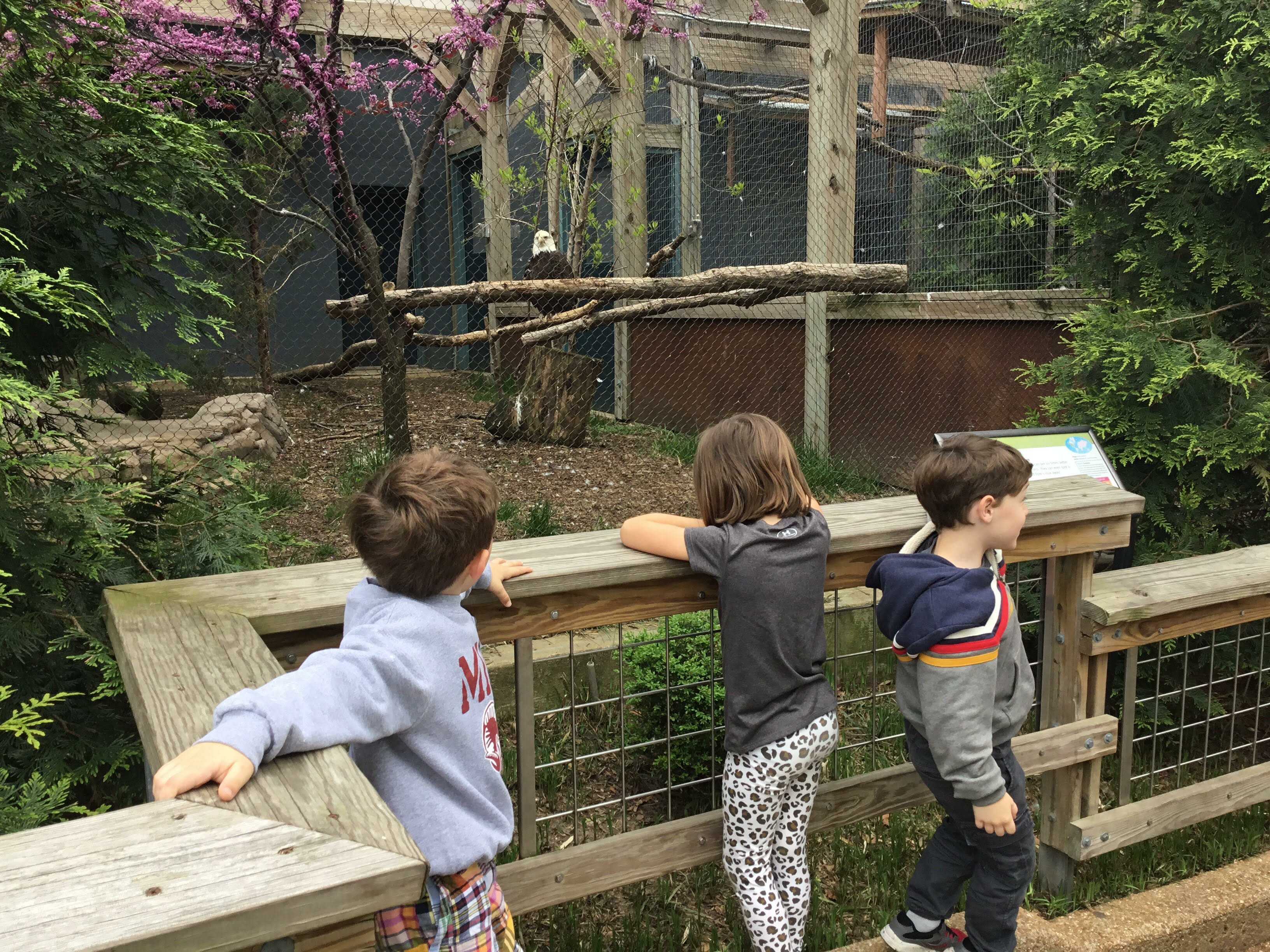 SK Visits St. Louis Zoo