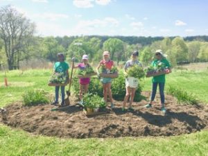 Girl Scouts Butterflies