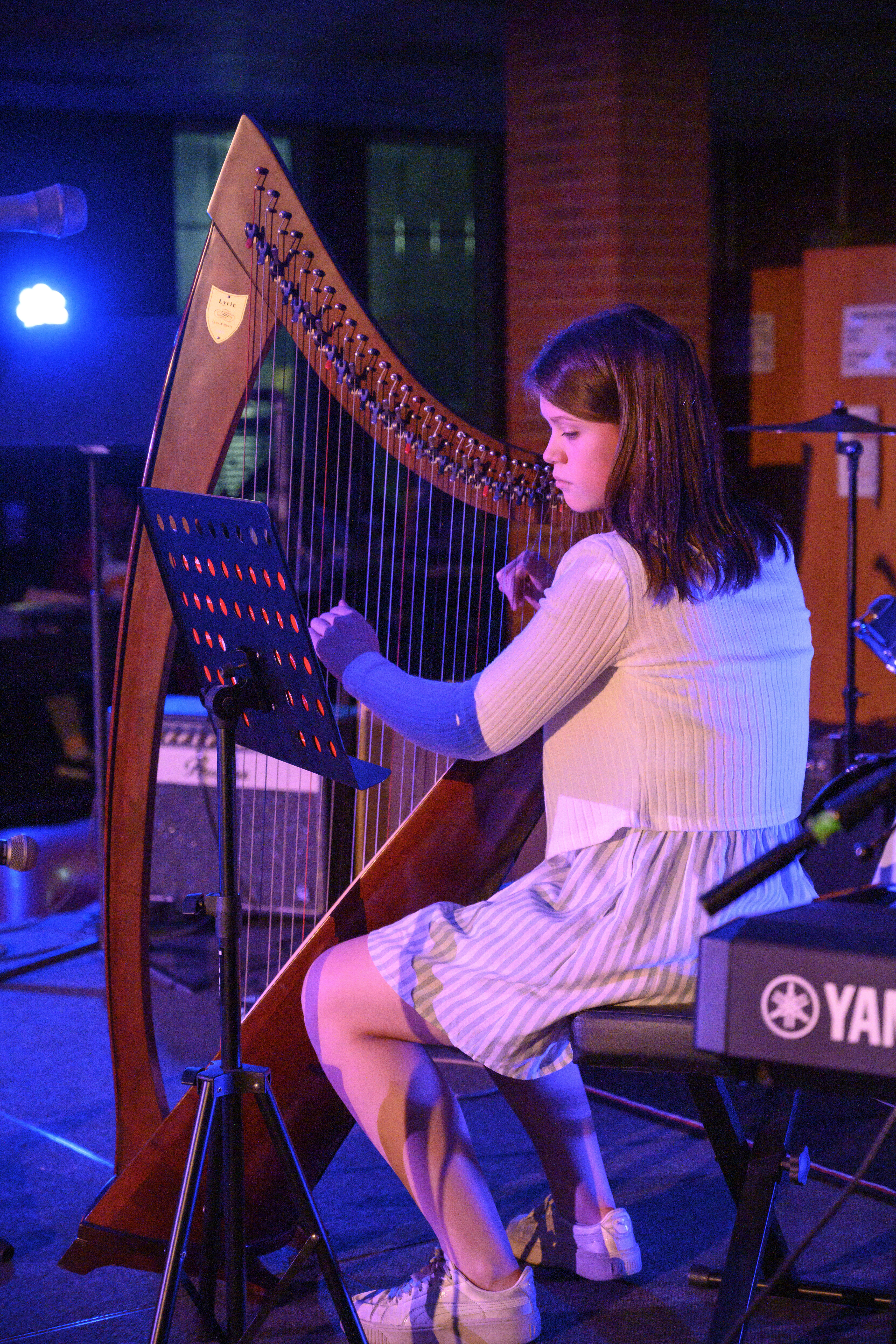 Harp performance at Blue Whale Cafe